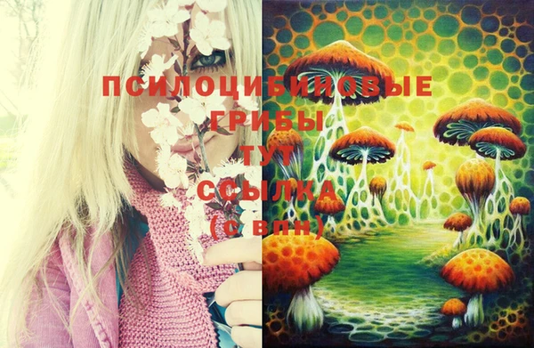 герыч Наволоки